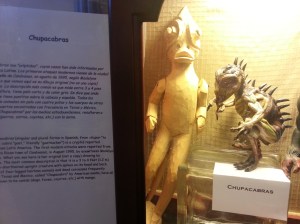 A little goat sucker under glass