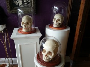 Human Skulls