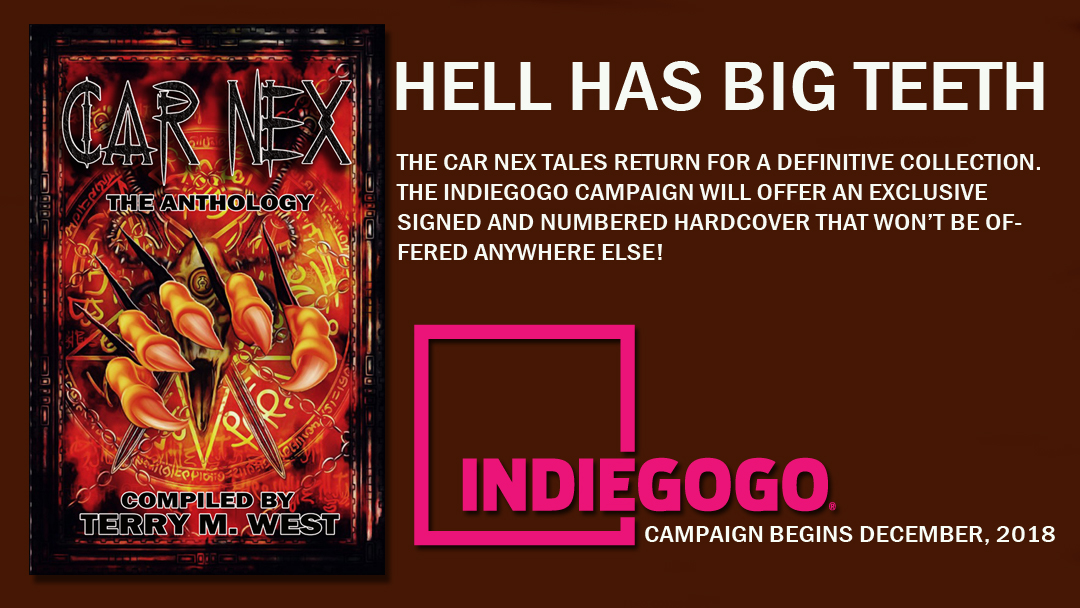 car nex indiegogo copy